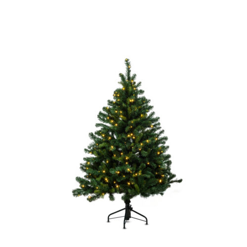 Alberta Spruce Çam Ağacı 150 cm