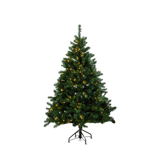 Alberta Spruce Çam Ağacı 180 cm