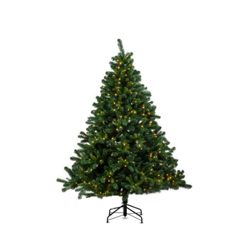 Alberta Spruce Çam Ağacı 210 cm