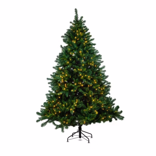 Alberta Spruce 240 cm - Yılbaşı Ağacı