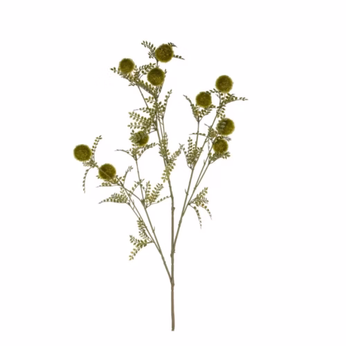 Pom Pom Spray