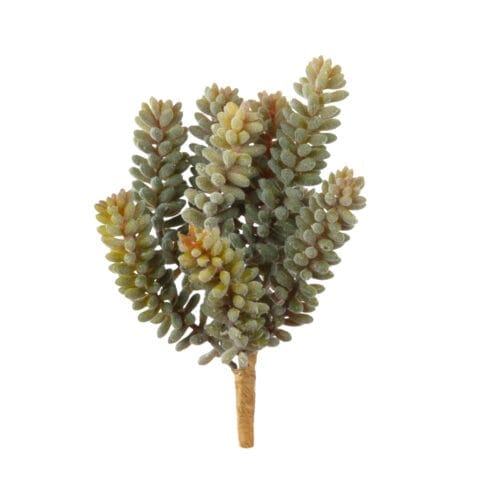 Yapay Damkoruğu Bush