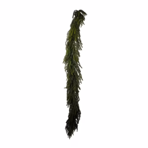 American Garland