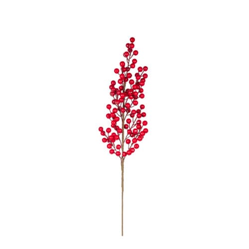 Berry Dal