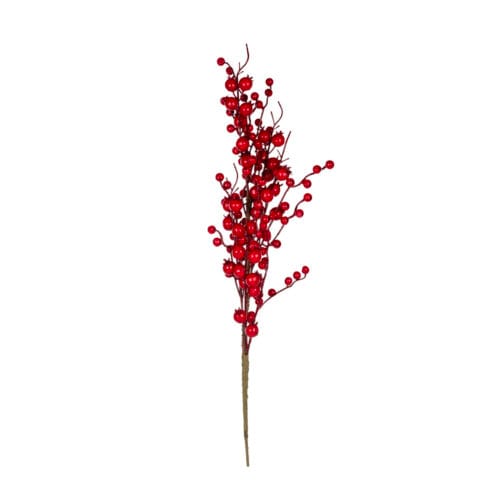 Berry Dal