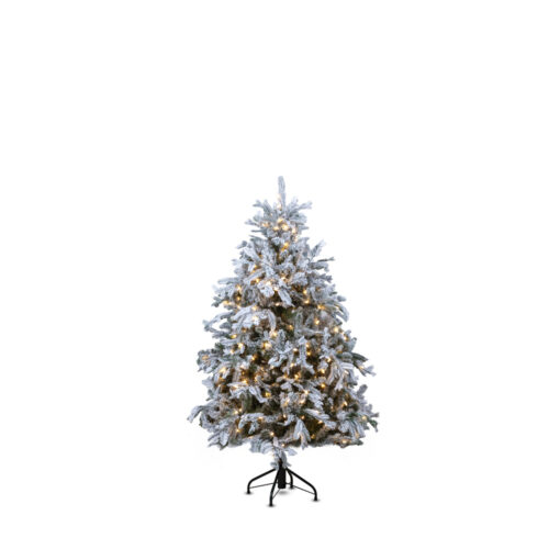 Torrance Spruce Çam Ağacı 150 cm