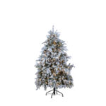 Torrance Spruce Çam Ağacı 180 cm