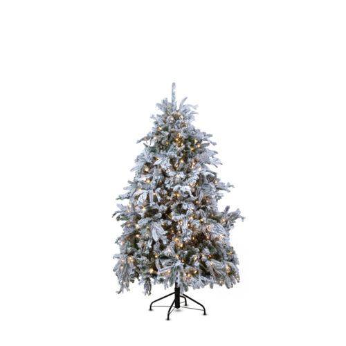 Torrance Spruce Çam Ağacı 180 cm