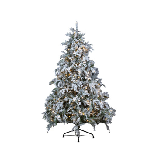 Torrance Spruce Çam Ağacı 210 cm