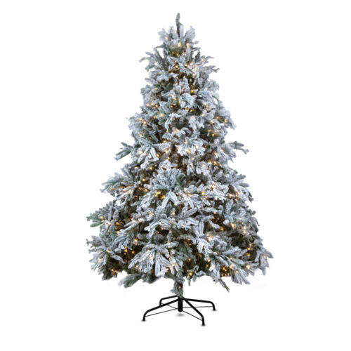 Torrance Spruce Çam Ağacı 240 cm