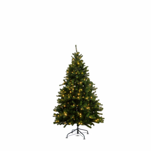 Bogota Pine Smart 180 CM