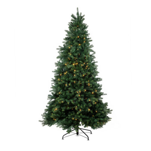 Bogota Pine Smart 240 CM
