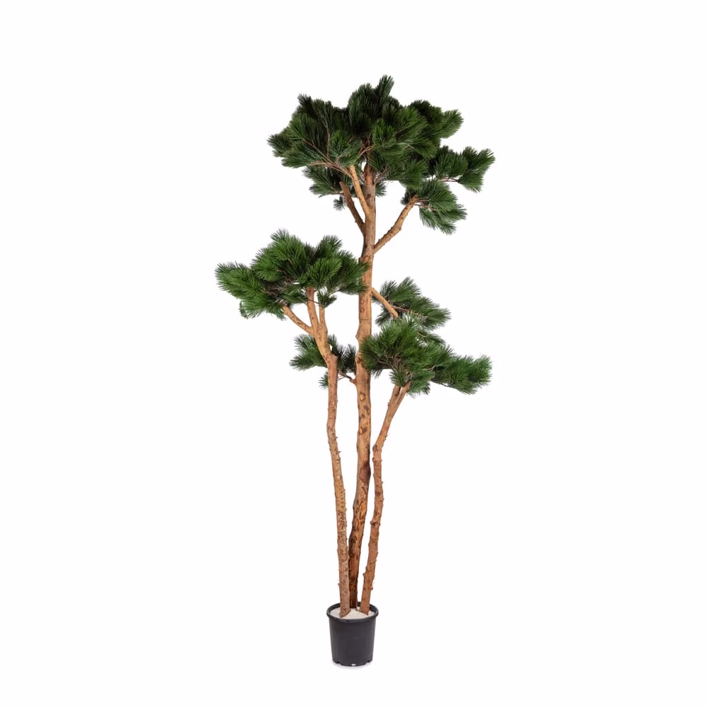 Yapay Ficus Retusa Ağaç 190 CM
