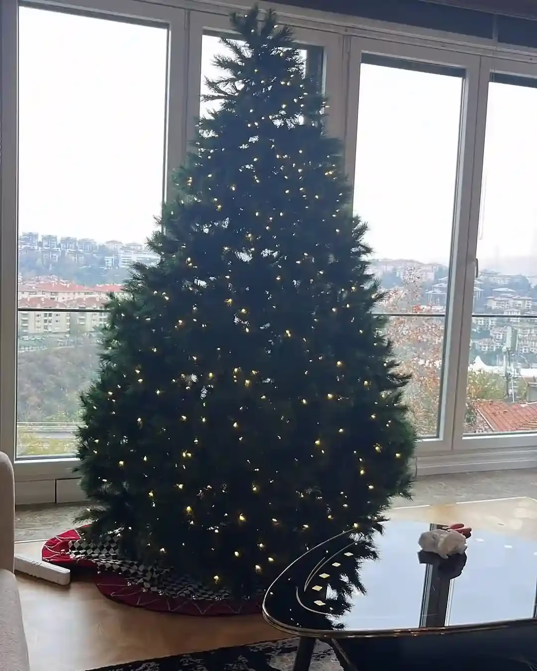 yesil-yilbasi-agaci-cesitleri