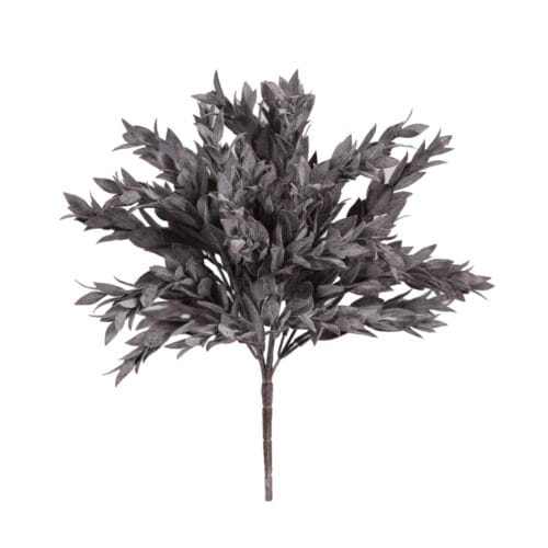 Flame Leaf Bush