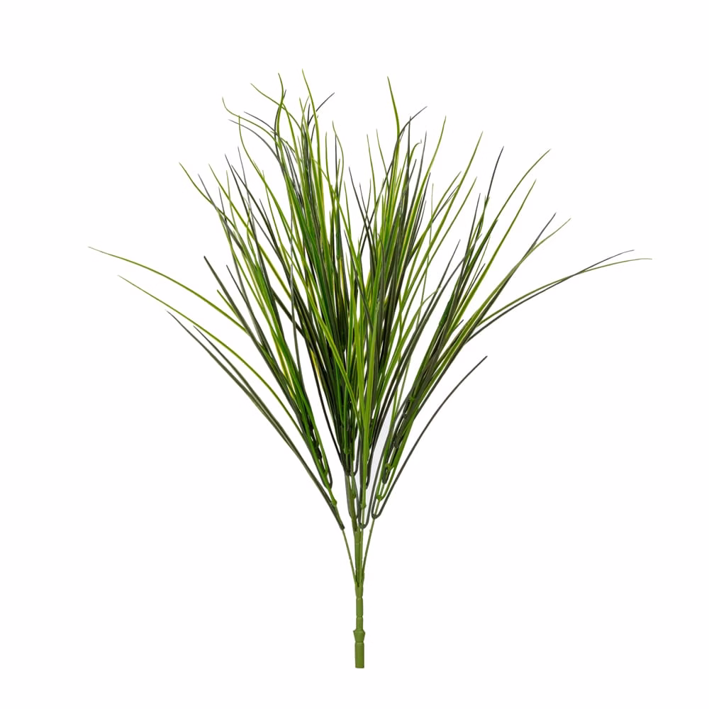 Grass Bush
