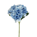 Ana Sayfa Baharın Renkleri