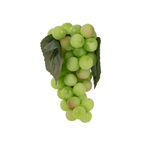 Ana Sayfa Yapay Meyveler