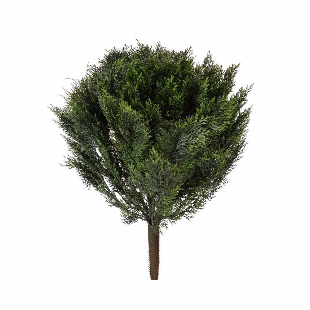 Cedar Bush (76cm)