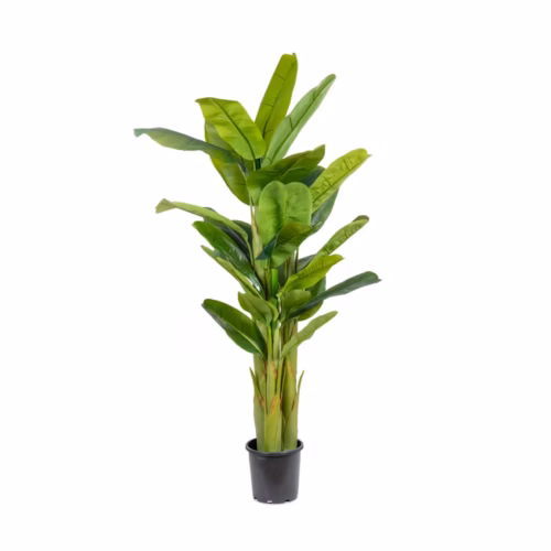 Yapay Muz Ağacı 180 Cm