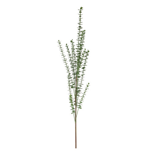 Euacalyptus Spray