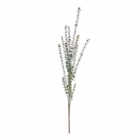 Euacalyptus Spray