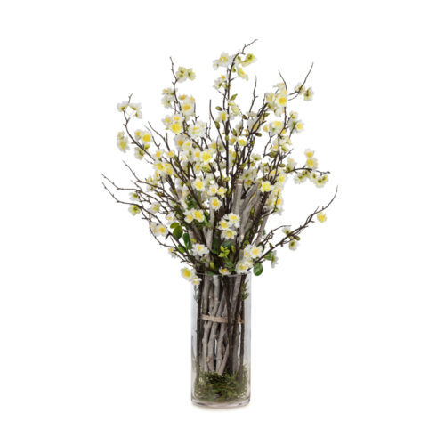 Natural Gövde Bahar Dalı Aranjman