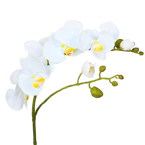 Real Touch Phalaenopsis Orchid White