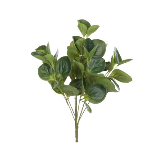 Gingko Bush 40 cm