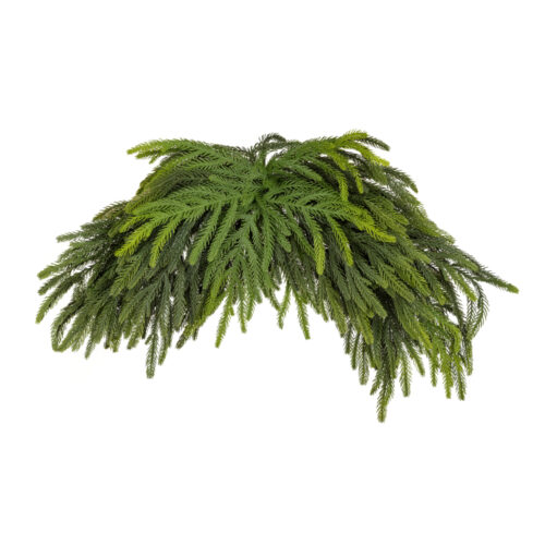 Fresh Touch Pine Centerpiece (96 CM)