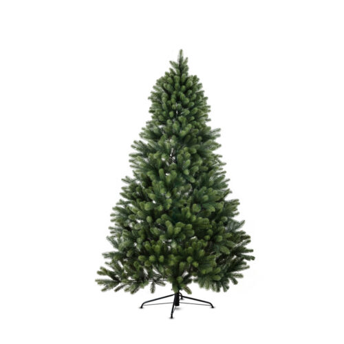 Seattle Fir (210 CM)