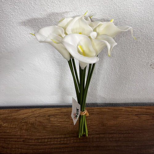 Gala Demet (30 CM)