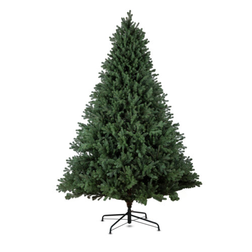 Alpine Çam Ağacı (240 CM)