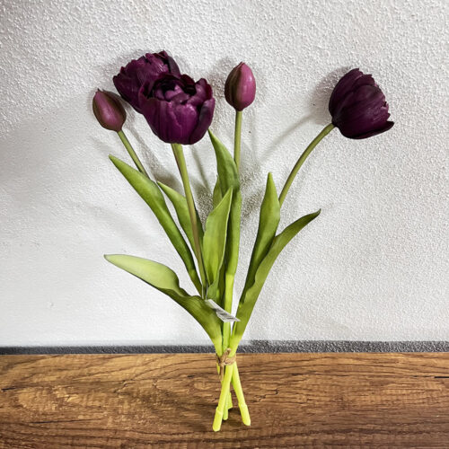 Tulip Bush (39 CM)