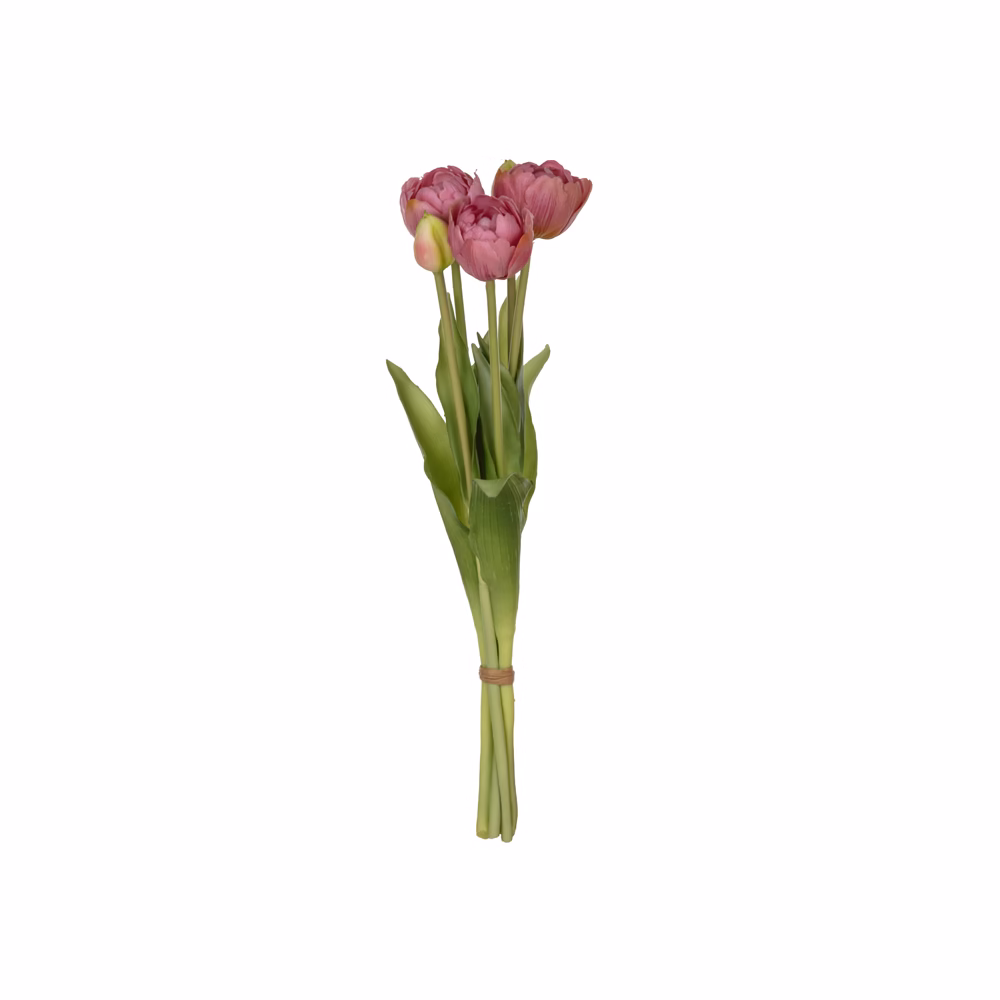 Tulip Bush (39 CM) - Görsel 4