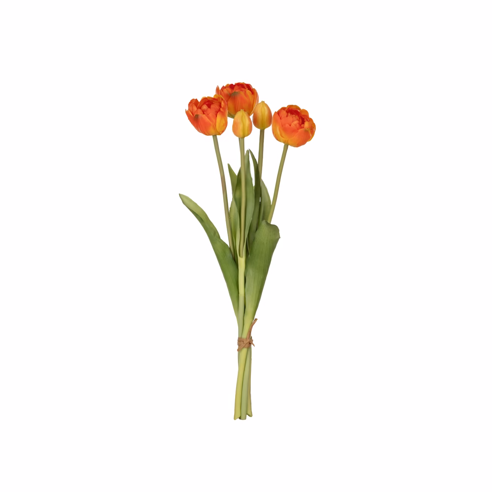 Tulip Bush (39 CM) - Görsel 5
