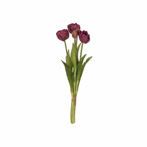 Tulip Bush (39 CM)