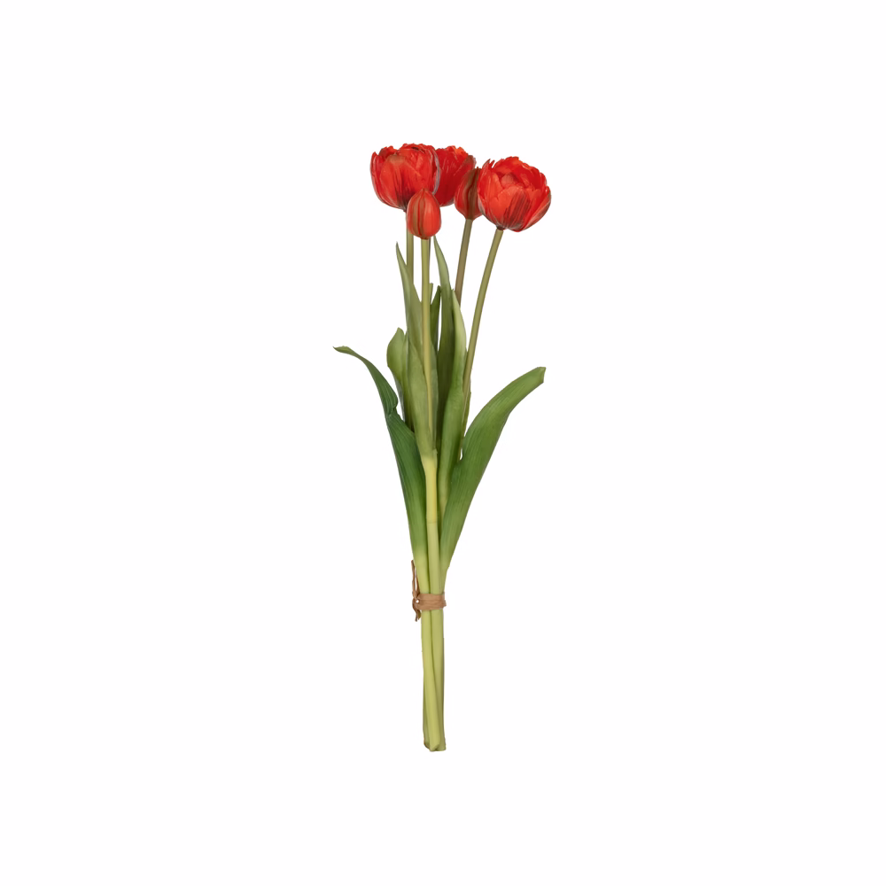 Tulip Bush (39 CM) - Görsel 7
