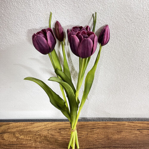 Tulip Bundle (40 CM)