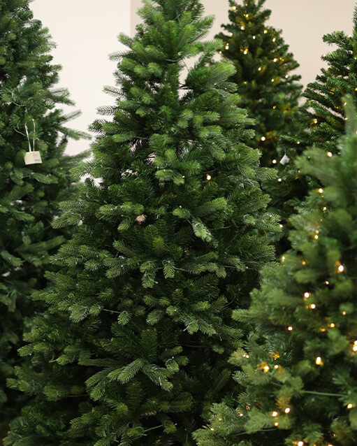 yesil-cam-agaci-türleri