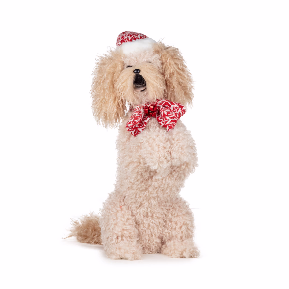Yılbaşı Süsü Köpek (54 CM)