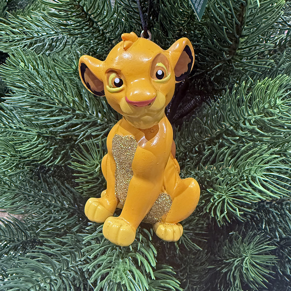 Aslan Kral (Lion King) Aslan Kral (Lion King)