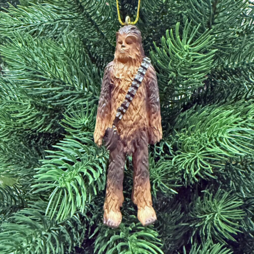 Yasemin ve Aladdin (Jasmine and Aladdin) Chewbacca