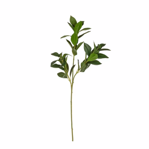 Yapay Servet Yaprağı (77 CM)
