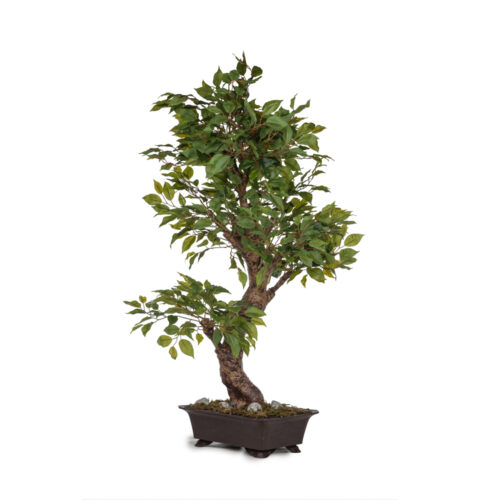Yapay Saksılı Ficus Bonsai Ağaç (85 CM) Yapay Saksılı Ficus Bonsai Ağaç (85 CM)