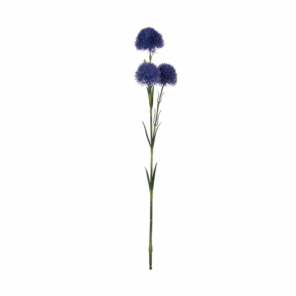 Chestnut Allium - Görsel 2