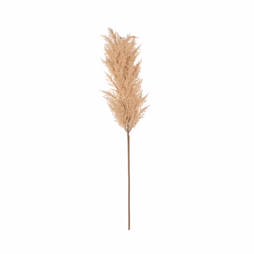Yapay Pampas Dal (86 CM)