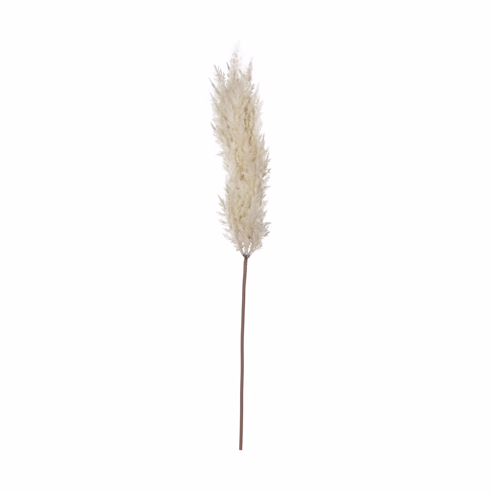 Yapay Pampas Dal (86 CM) - Görsel 2