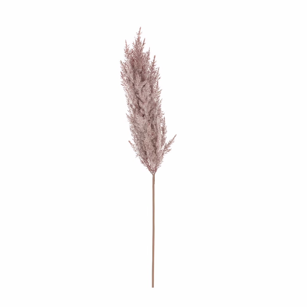 Yapay Pampas Dal (86 CM) - Görsel 3
