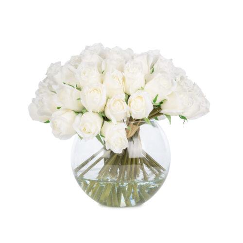 Jelli Islak Dokulu Beyaz Gonca Gül Aranjman (26 CM)